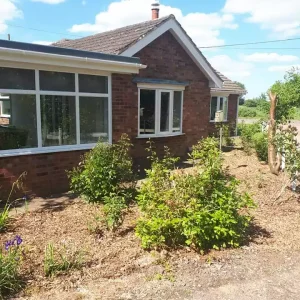 Garden 2